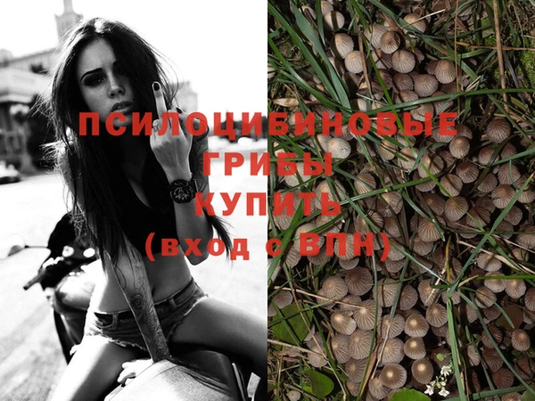 бутират Алзамай