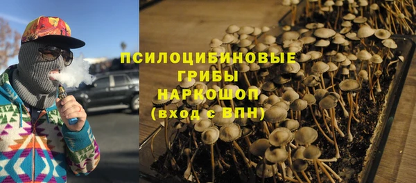 бошки Алексин