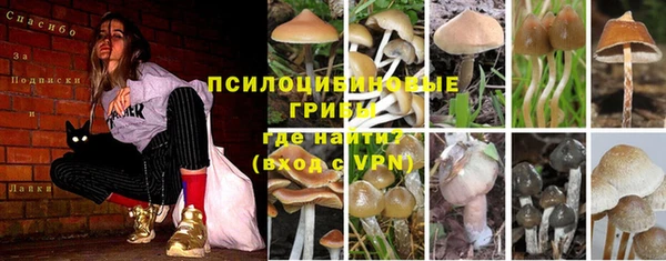 бутират Алзамай