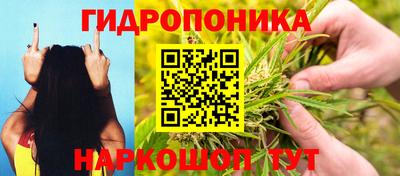 a pvp Краснокаменск