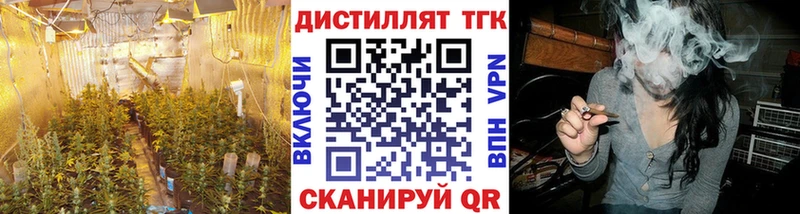 как найти   Махачкала  ТГК Wax 