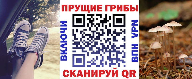 купить MEGA рабочий сайт Галлюциногенные грибы GOLDEN TEACHER площадка состав Махачкала