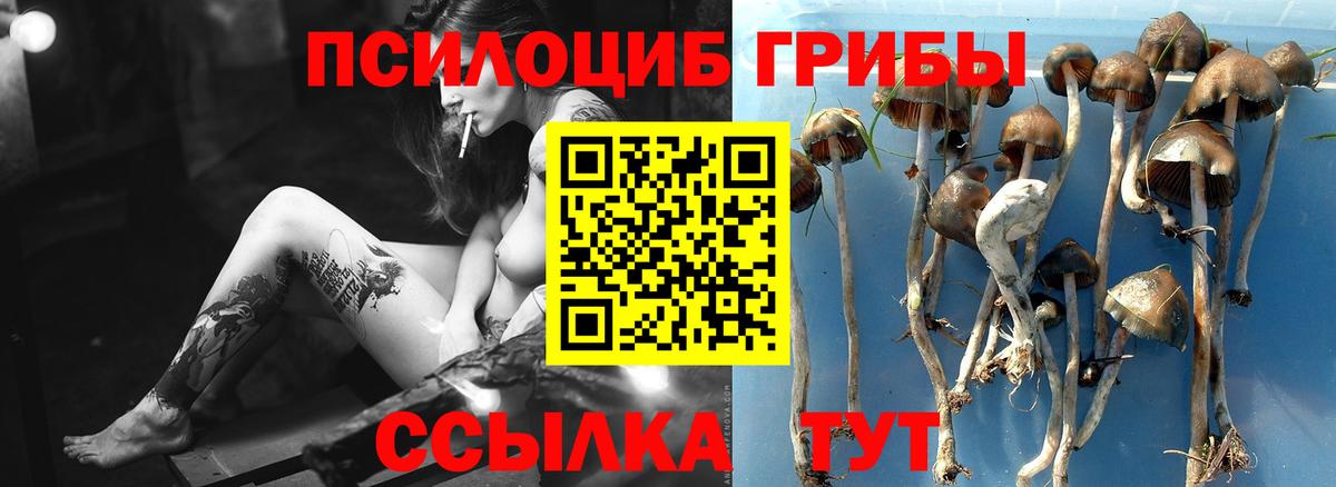 Псилоцибиновые грибы Magic Shrooms Махачкала